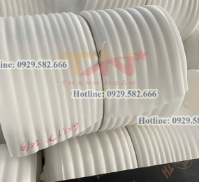 Màng Mút Xốp Foam Đóng Gói Dâu Tây Tại Thủ Đức