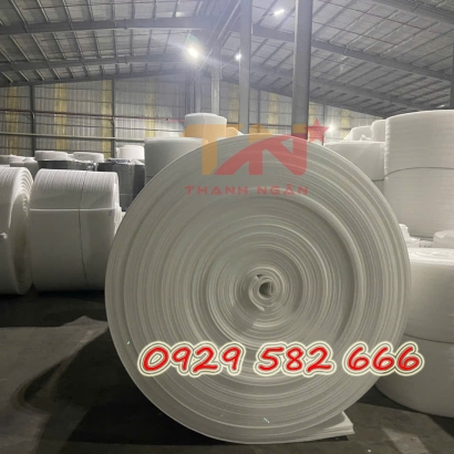 Màng Mút Xốp Foam Đóng Gói Dâu Tây Tại Thủ Đức