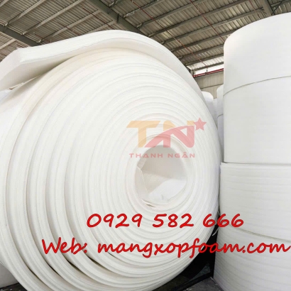 Mút Xốp Pe Foam dày 100mm Tại Định Quán