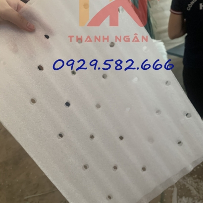 Xốp Pe Foam Đục Lỗ Lót Chuối Ở Đồng Nai