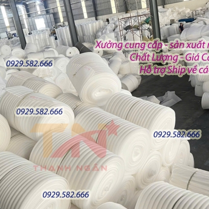 Xốp Foam Lót Dưa Hấu Ở Đồng Nai