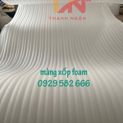 Xốp Foam Lót Dưa Hấu Ở Đồng Nai