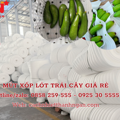 Cuộn Mút Xốp Pe Foam Chèn Lót Trái Cây Giá Sỉ Tại Kho Bình Định