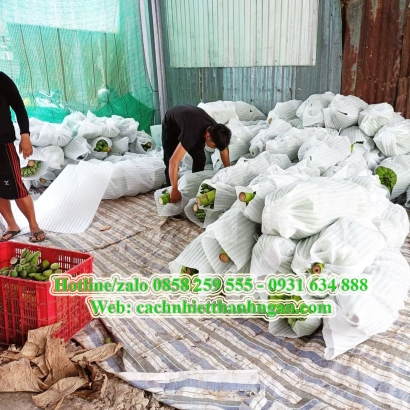 Mút Xốp Bọc Lót Chuối Giá Rẻ Ở Đồng Nai