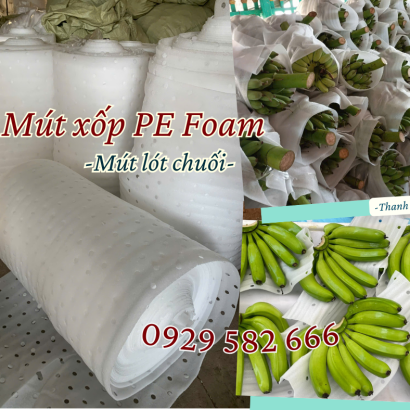 Mút Xốp Pe Foam Bọc Chuối Giá Rẻ Tại Định Quán Đồng Nai  