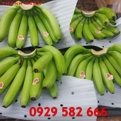 Xốp Pe Foam Đục Lỗ Lót Chuối Ở Đồng Nai