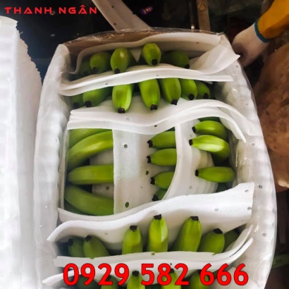 Màng Xốp Foam Lót Chuối Tại Long Khánh 